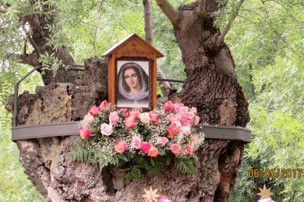 Primer-sábdo-mayo,-2017-6